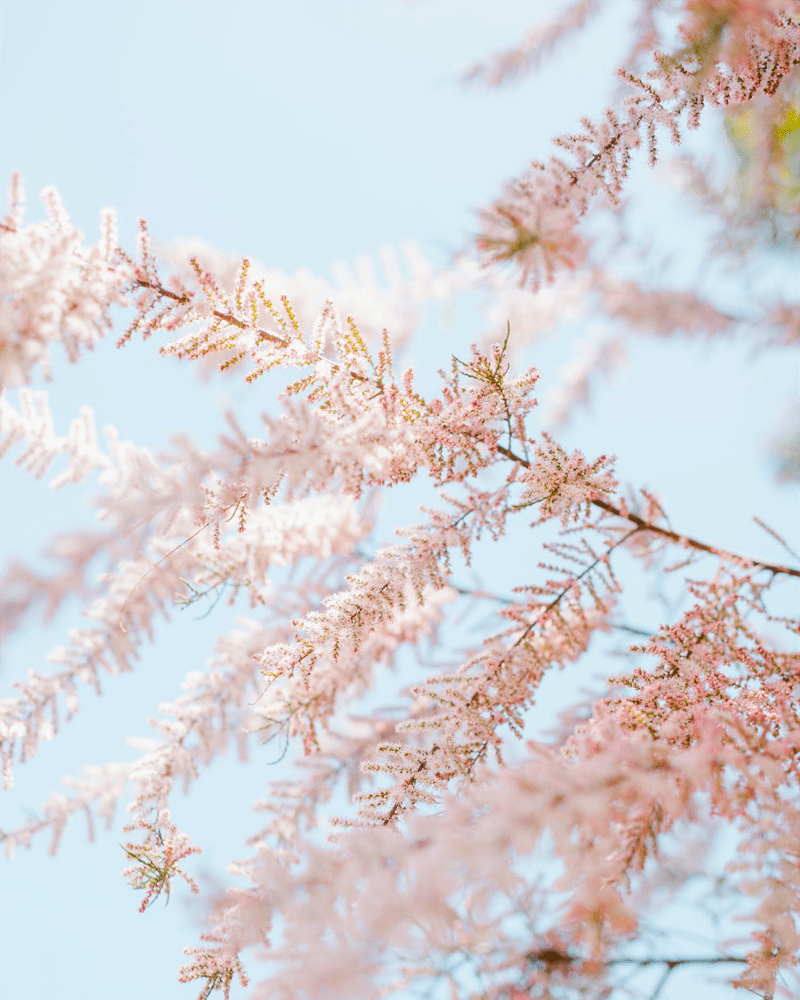 BLOG3
